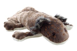 Obrázek z Axolotl hnědý plyš 28cm (6) 